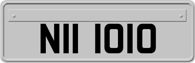 NII1010