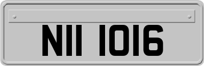 NII1016
