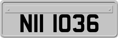NII1036