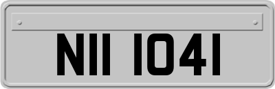 NII1041