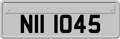 NII1045