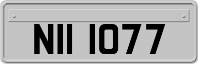 NII1077