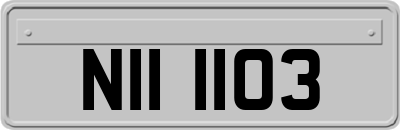 NII1103