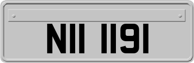 NII1191