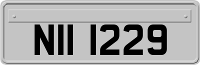 NII1229