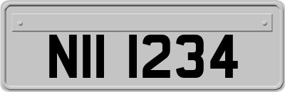 NII1234