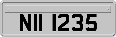 NII1235