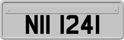 NII1241