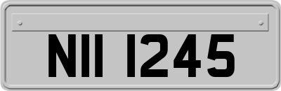 NII1245