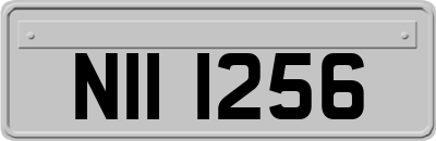 NII1256