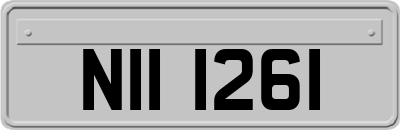 NII1261