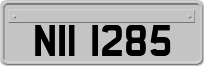NII1285