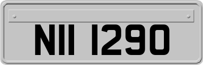 NII1290