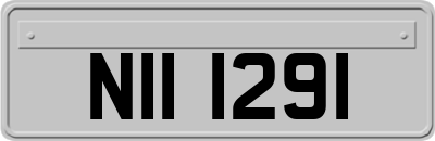 NII1291