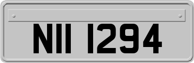 NII1294