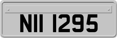 NII1295