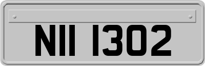NII1302