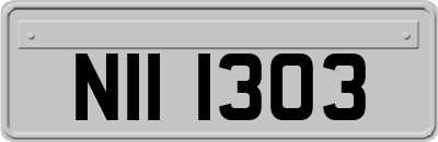 NII1303
