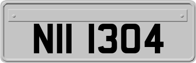 NII1304