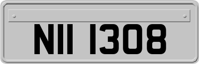 NII1308