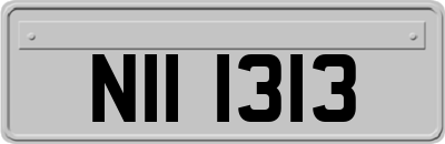 NII1313