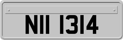 NII1314