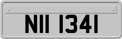NII1341
