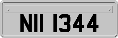 NII1344