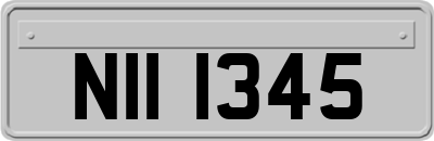 NII1345
