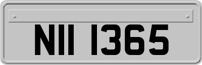 NII1365