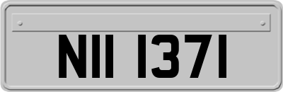 NII1371