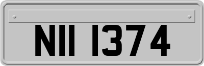 NII1374