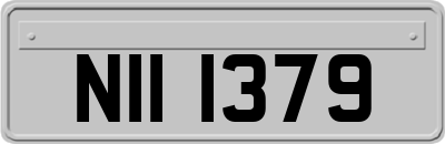 NII1379