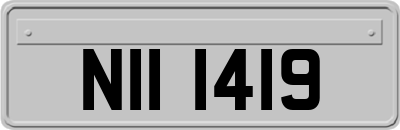 NII1419