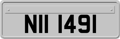 NII1491