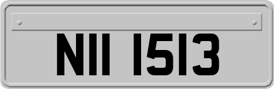 NII1513