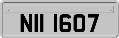 NII1607