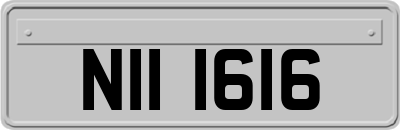 NII1616