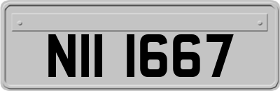 NII1667