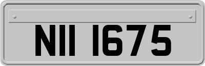 NII1675