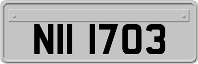 NII1703