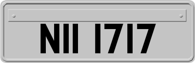 NII1717