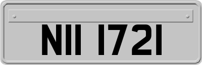 NII1721