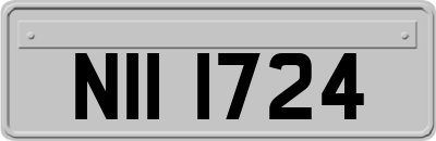 NII1724