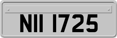 NII1725