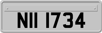 NII1734
