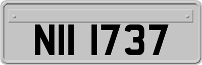 NII1737
