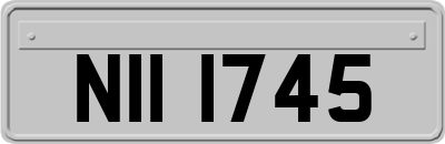 NII1745