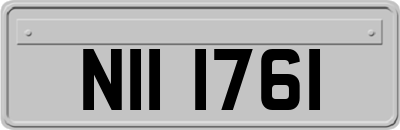 NII1761