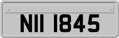 NII1845